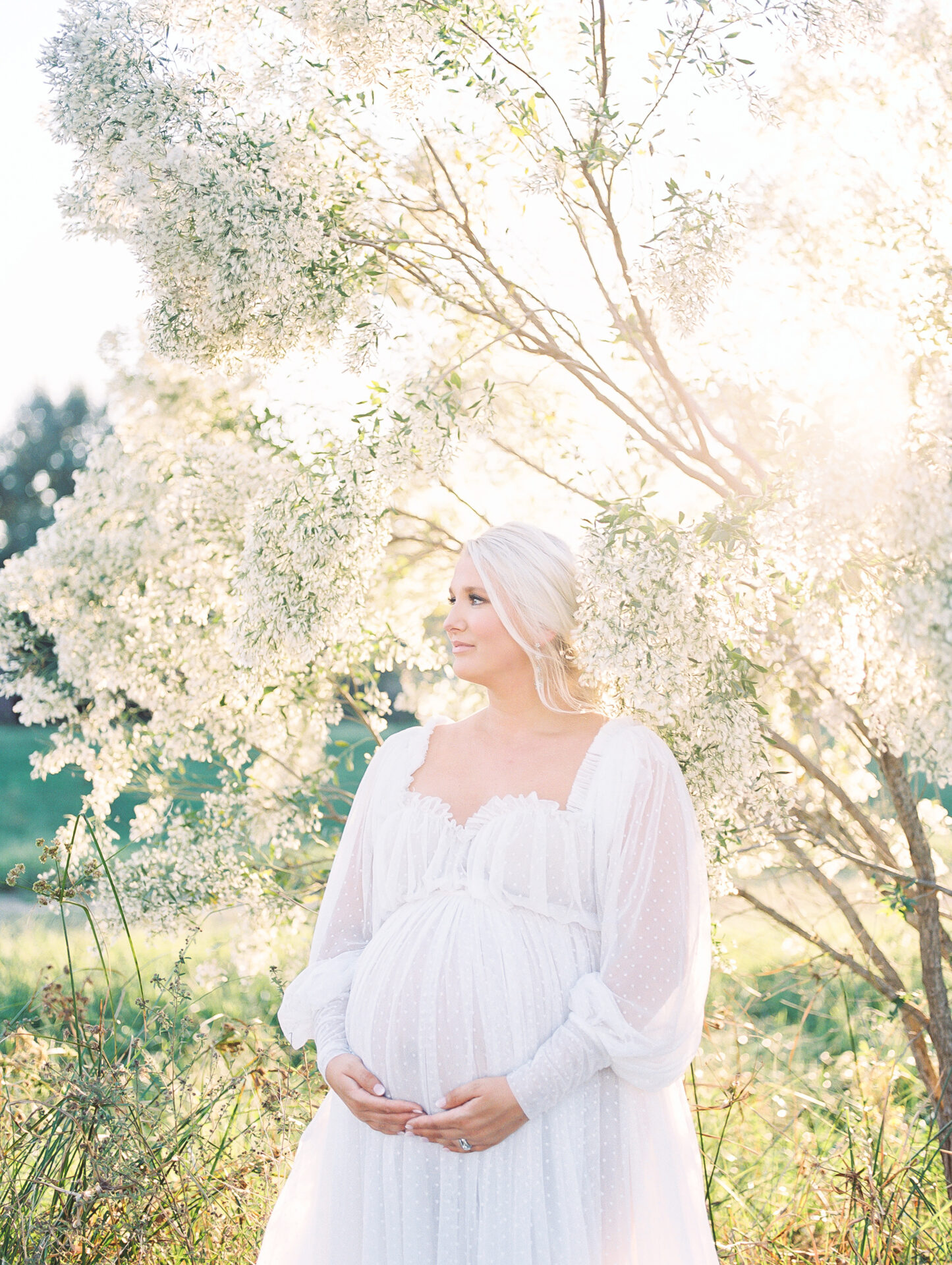 Houston Maternity Photographer